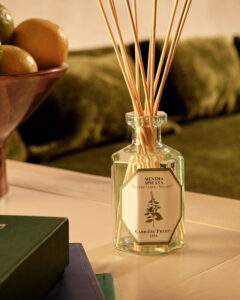 Carrière Frères Spearmint Diffuser