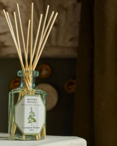 Carrière Frères Spearmint Diffuser
