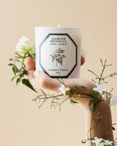 Carrière Frères Candle Jasmin