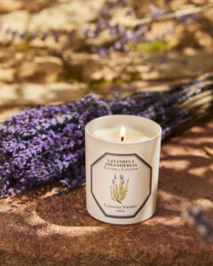 Carrière Frères Candle Lavender