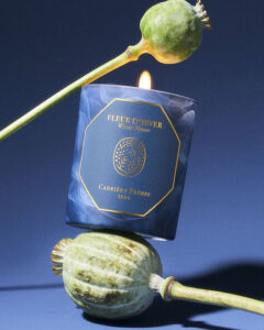 Carrière Frères Winter Flower Candle