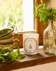 Carrière Frères Candle Spearmint