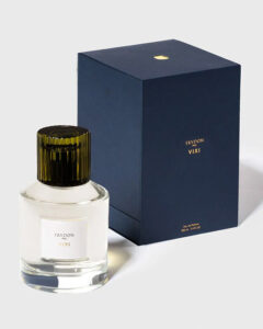 Trudon Vixi 100 ml