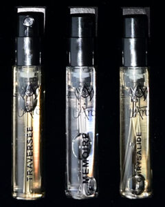 L`Arc Discovery Set