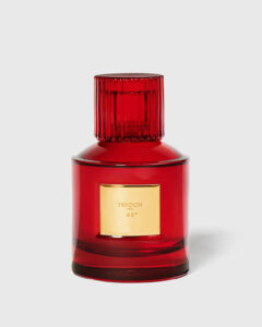Trudon 45° 100 ml