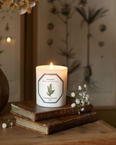 Carrière Frères Candle Lily of the Valley